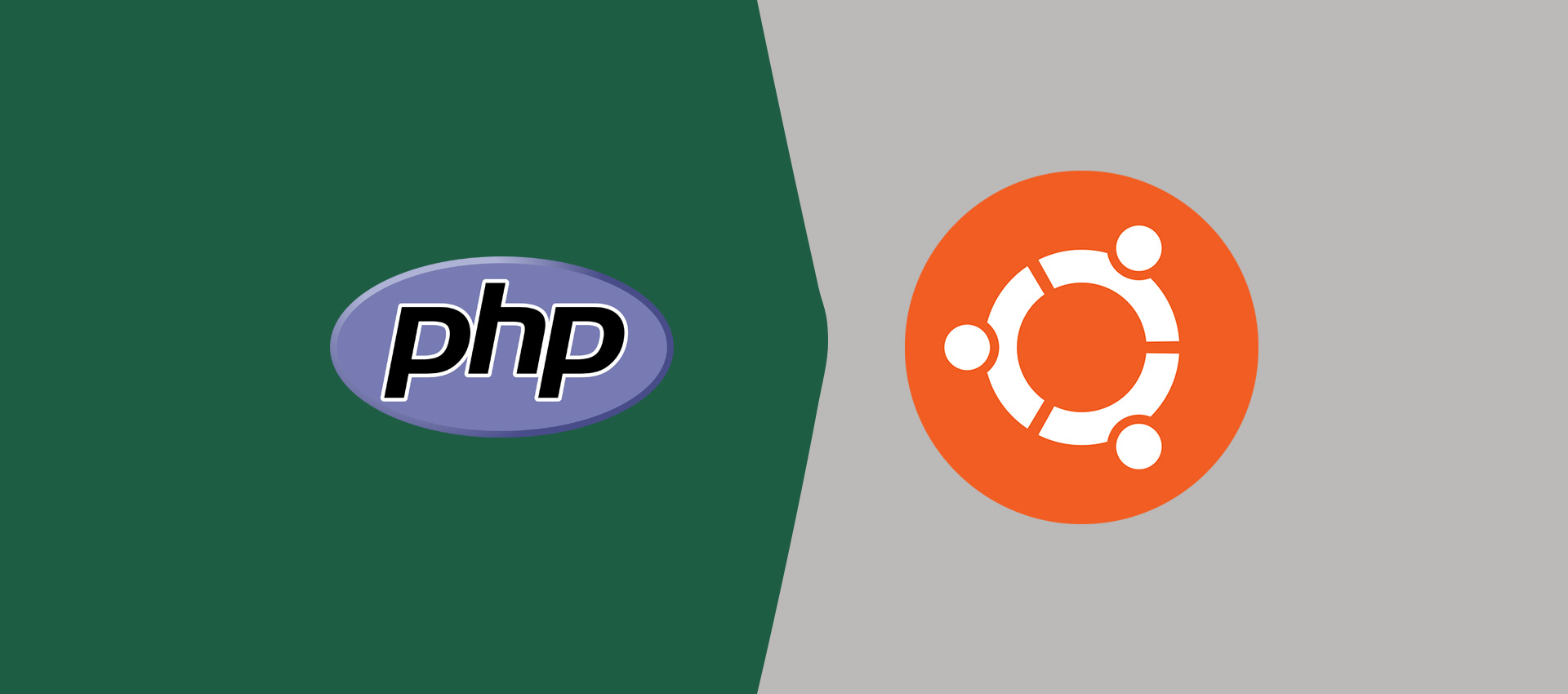 Quagga steno zo veel How To Install PHP 8 On Ubuntu 18.04 LTS | Tutorials24x7